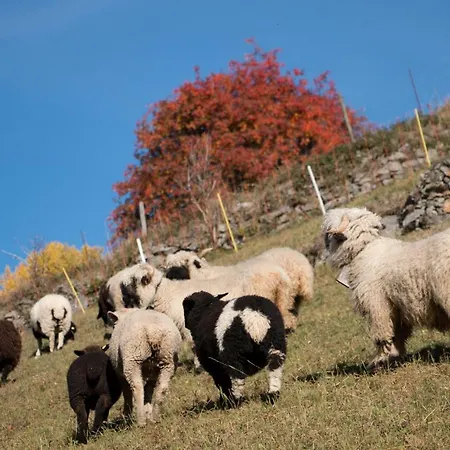 Heimetli Διαμέρισμα