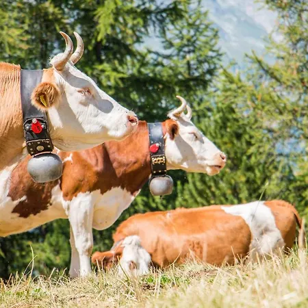 Heimetli Διαμέρισμα