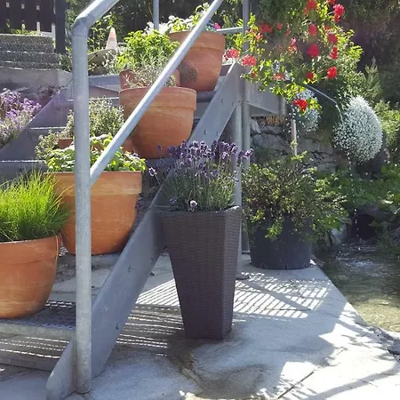 Heimetli